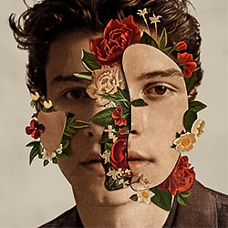 Shawn Mendes