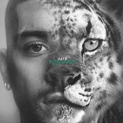 Zayn Konnakol