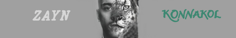 Zayn Malik Konnakol