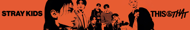 stray kids this that